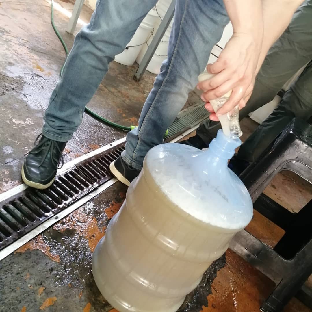 Trasvasije de hidromiel