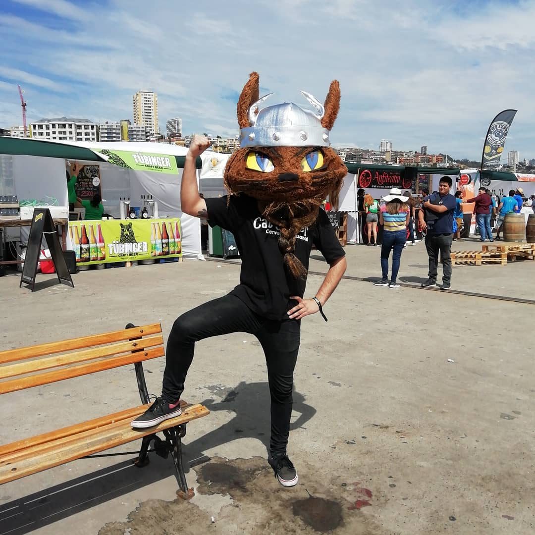 Nuestro gato vikingo en Valpobier